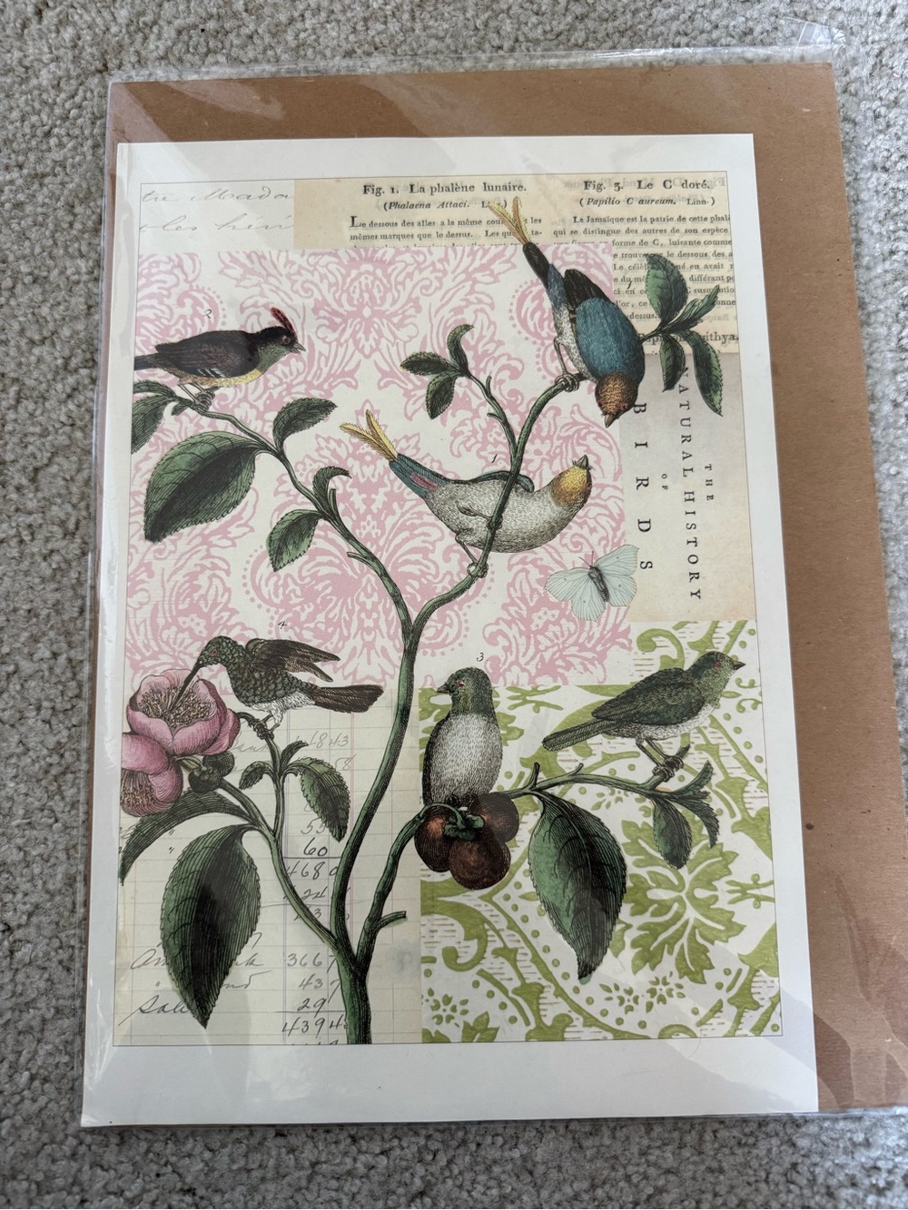 Botanical Birds Wall Art Print - Green/Pink